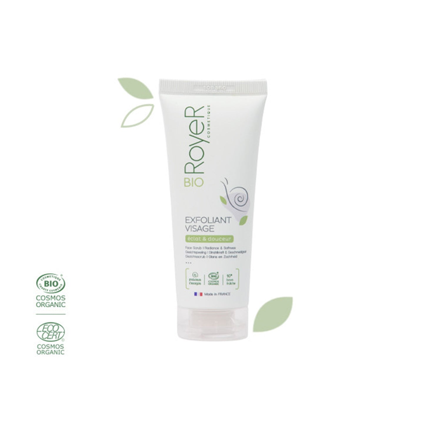 Royer Exfoliant visage bave d'escargot |KAMS PARIS