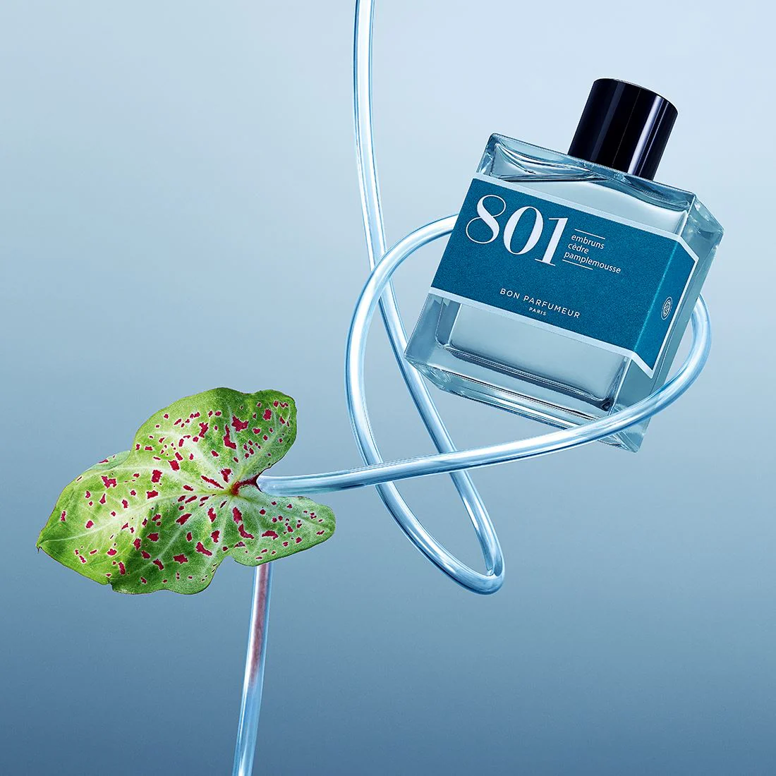 un parfum d'été aquatique et hespéridé à porter toute l'année pas cher, disponible chez KAMS PARIS