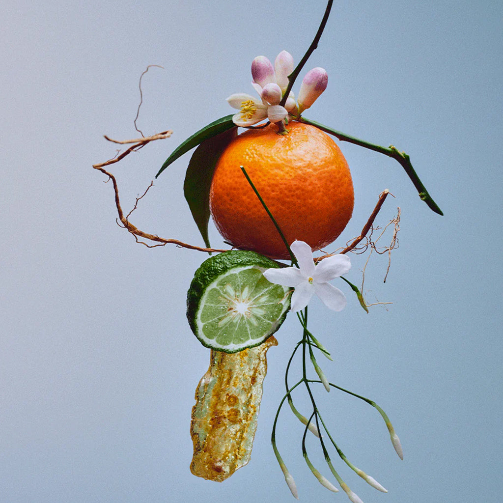 un parfum d'été hespéridé et citronné de BON PARFUMEUR, pour femmes et hommes, disponible chez KAMS PARIS
