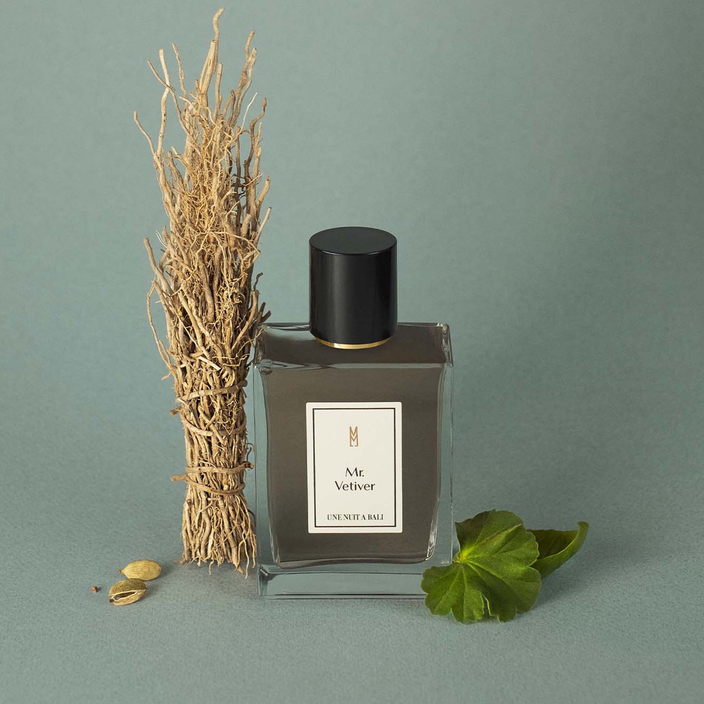 Mr. Vetiver