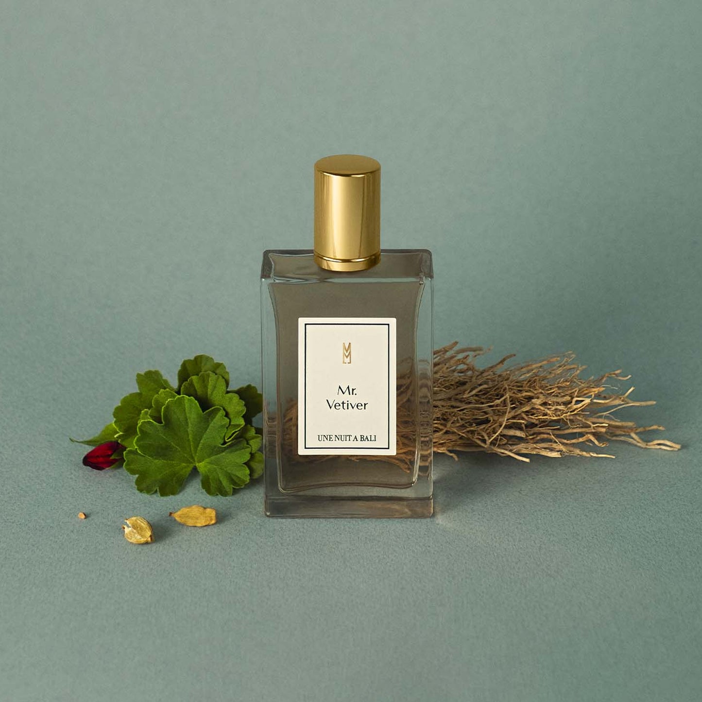 Mr. Vetiver