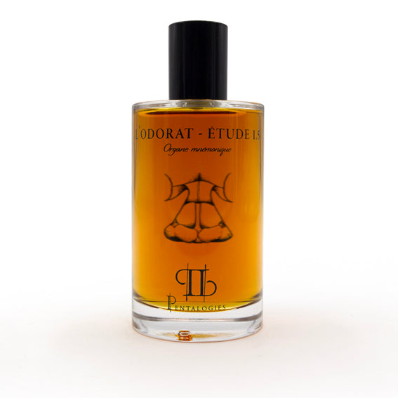 L’Odorat- Etude 1.5