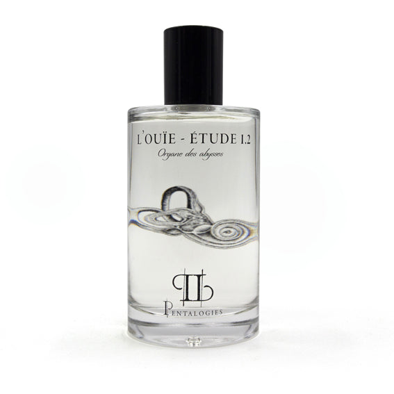 L’Ouïe – Etude 1.2