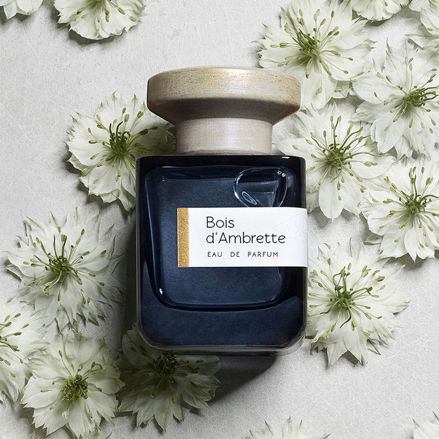 un parfum boisé et musqué unisexe de la maison française ATELIER MATERI, disponible dans la parfumerie de niche KAMS PARIS