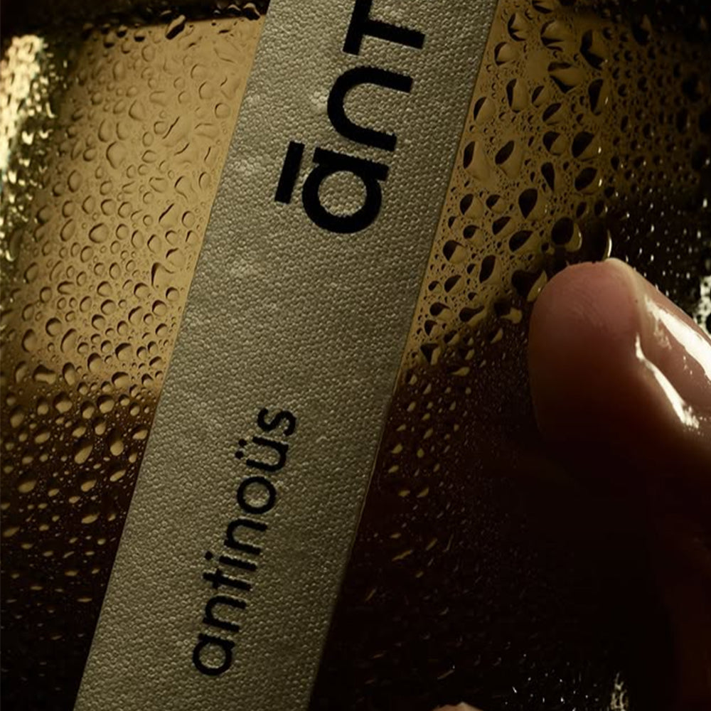 Antinoüs