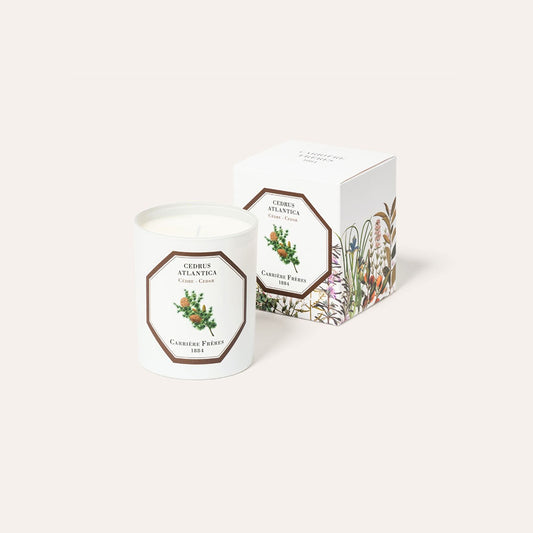 Bougie cèdre
