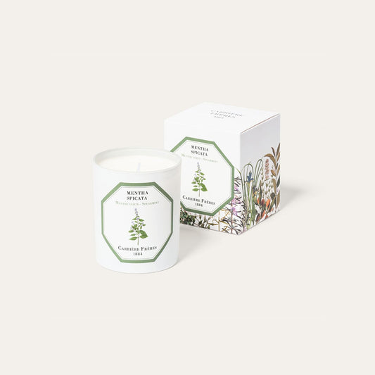 Bougie menthe verte