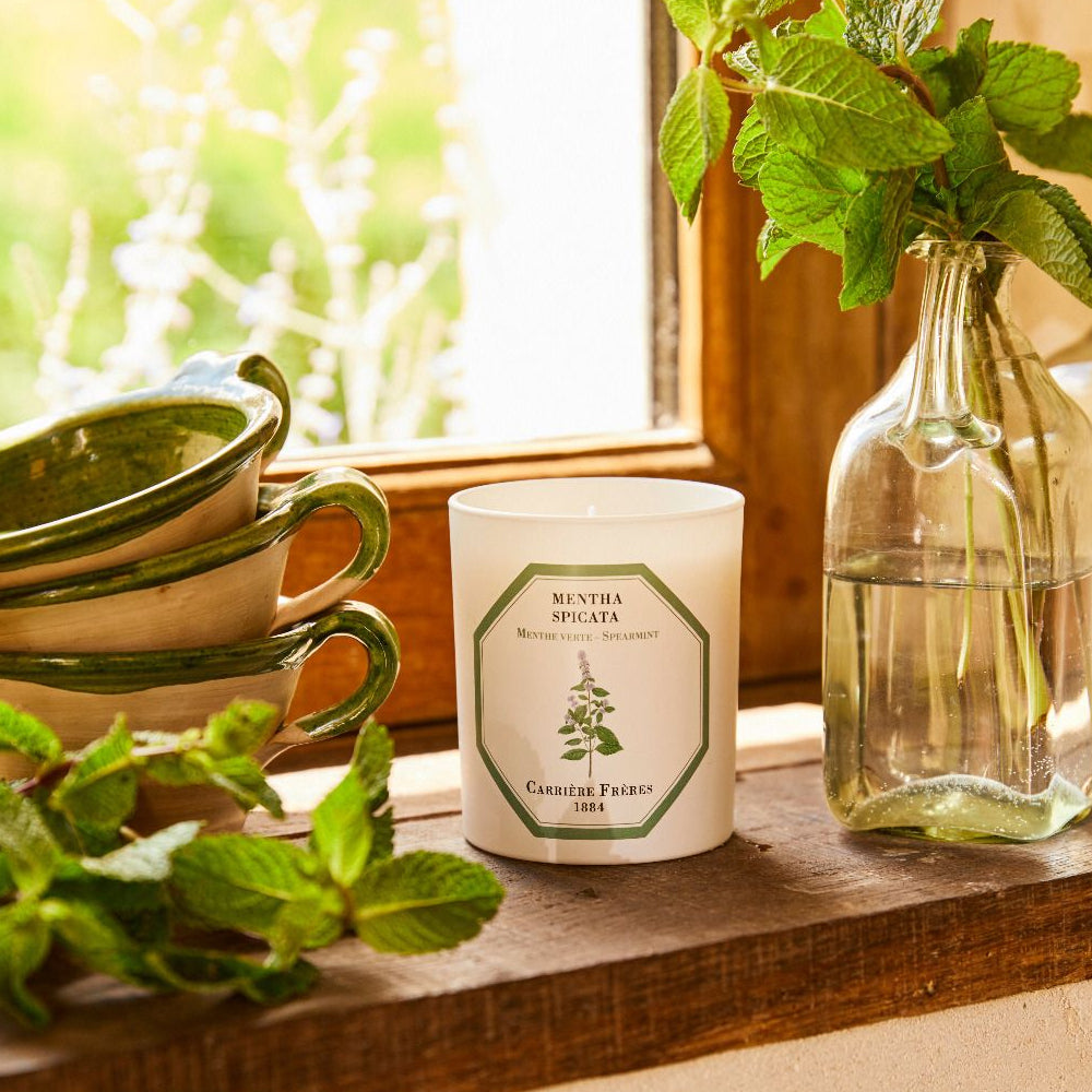 Bougie menthe verte