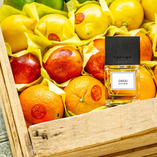 un parfum rare boisé et épicé de la maison espagnole CARNER BARCELONA, disponible dans la parfumerie de niche KAMS PARIS