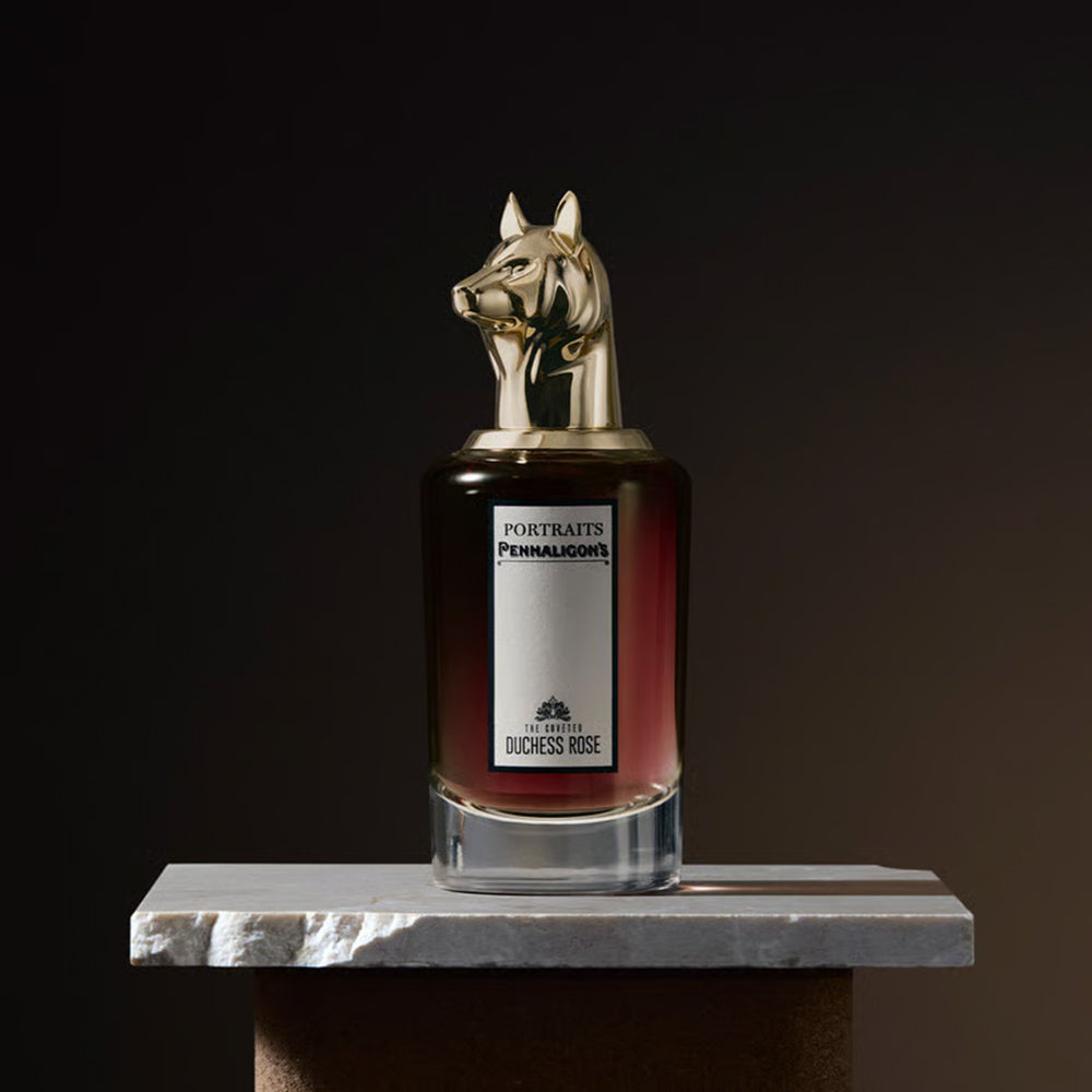 The Coveted Duchess Rose