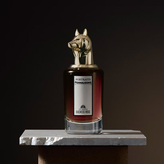The Coveted Duchess Rose