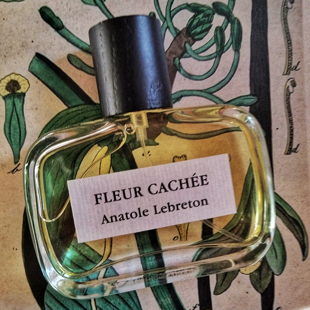 Fleur cachée