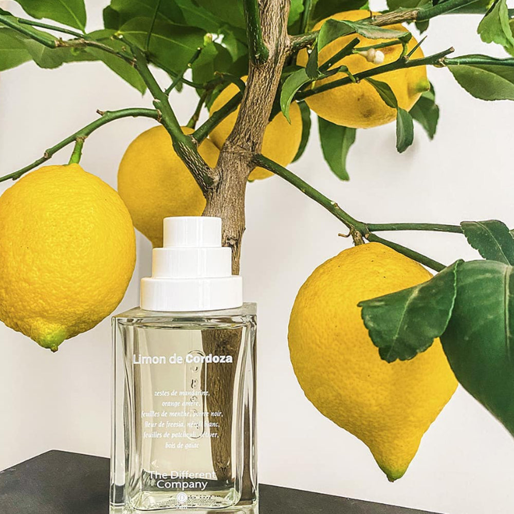 Limon de Cordoza