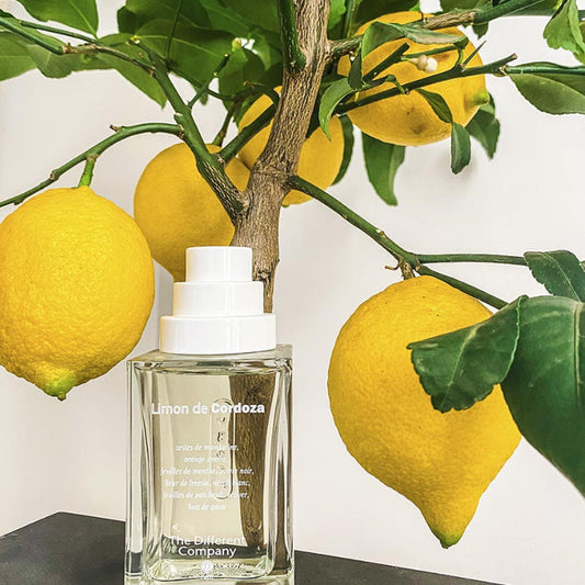 Limon de Cordoza