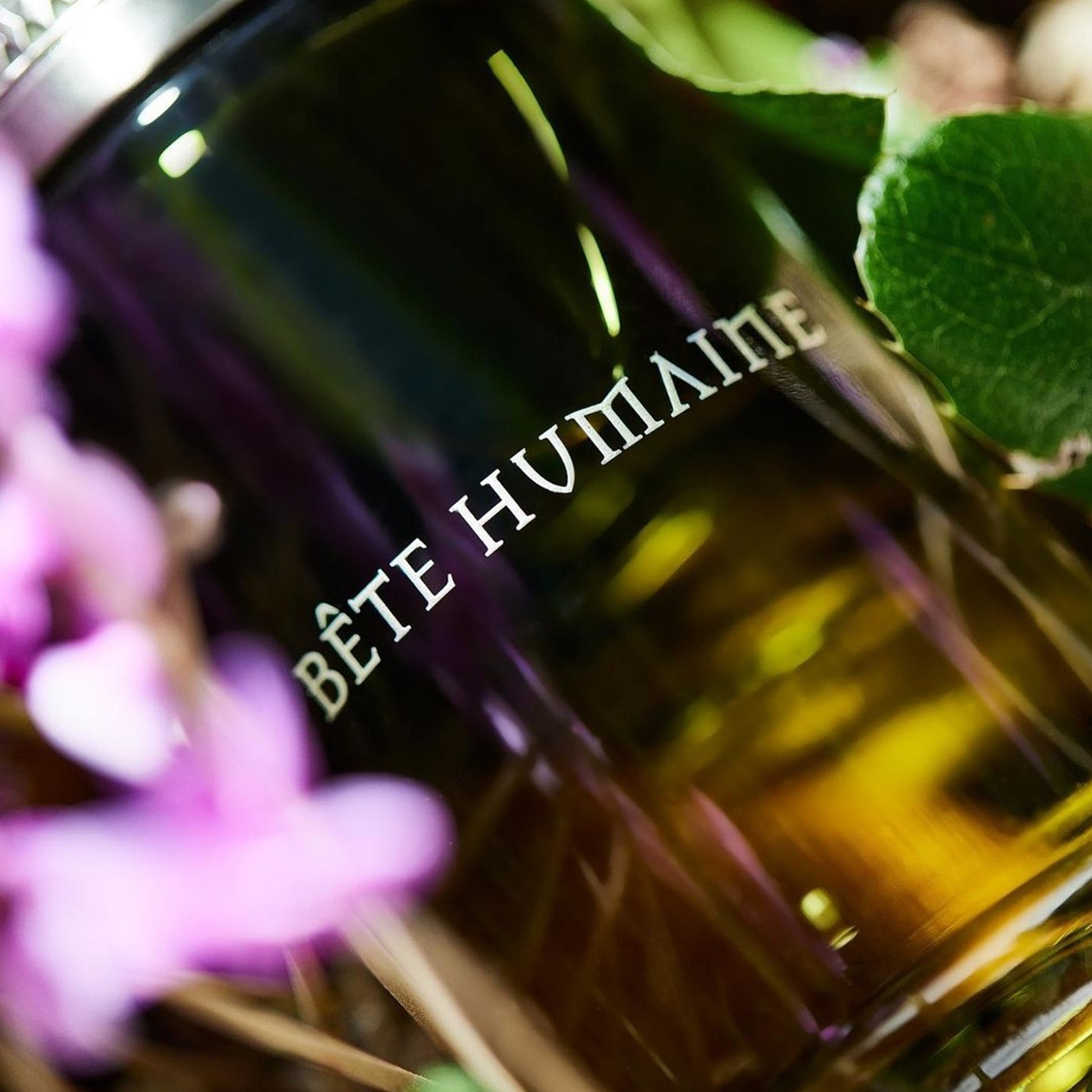 Bête Humaine, un parfum fougère et boisé de la marque Liquides Imaginaires, disponible dans la parfumerie de niche KAMS PARIS