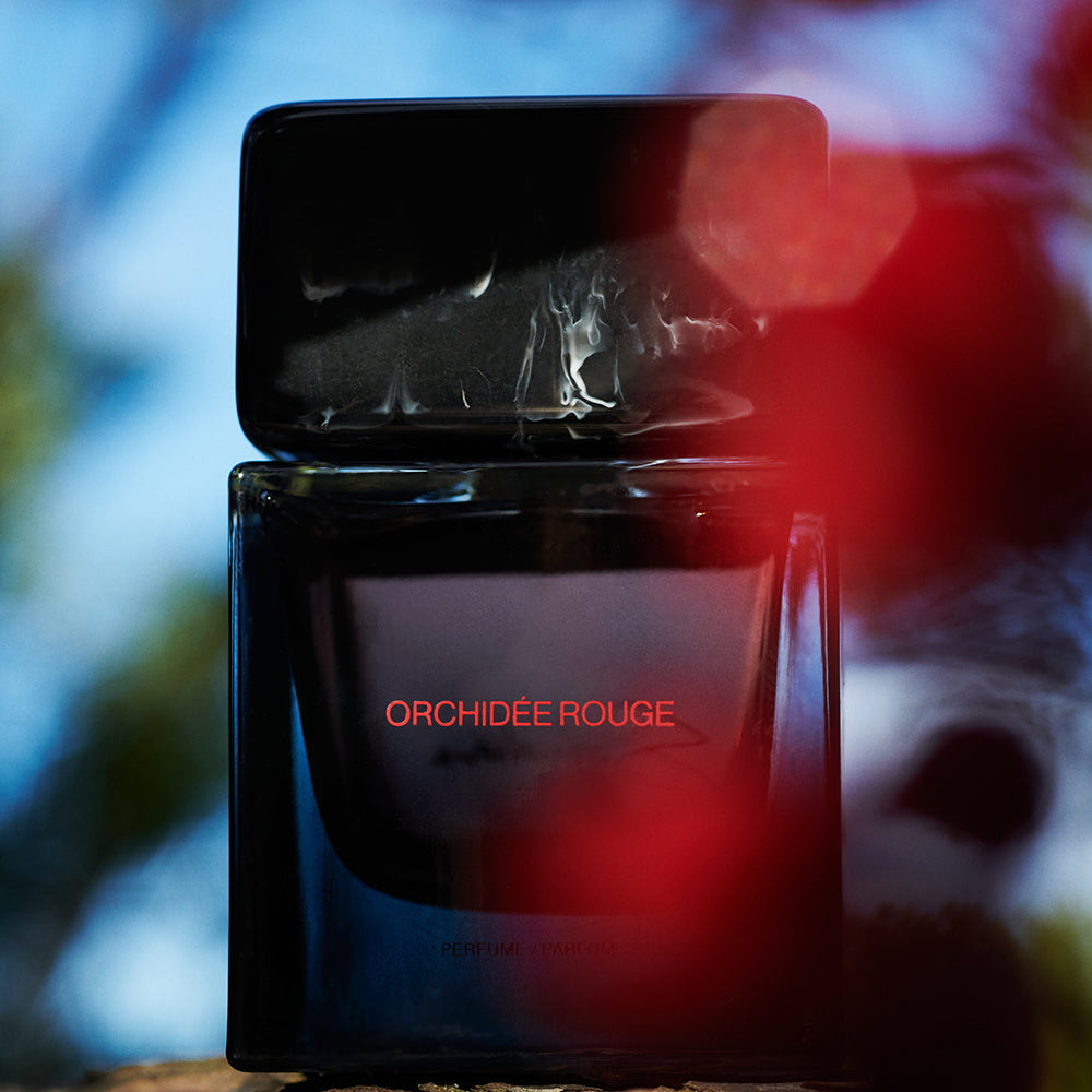Orchidée Rouge