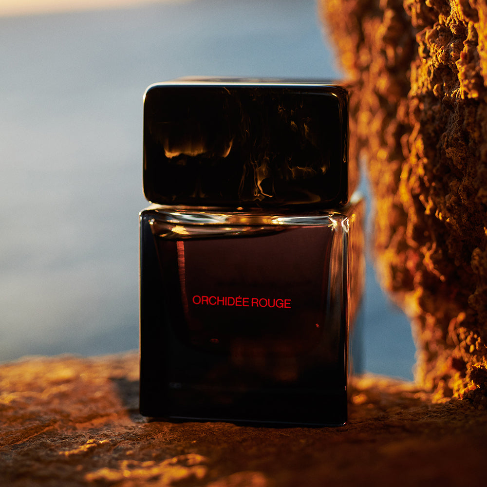 Orchidée Rouge