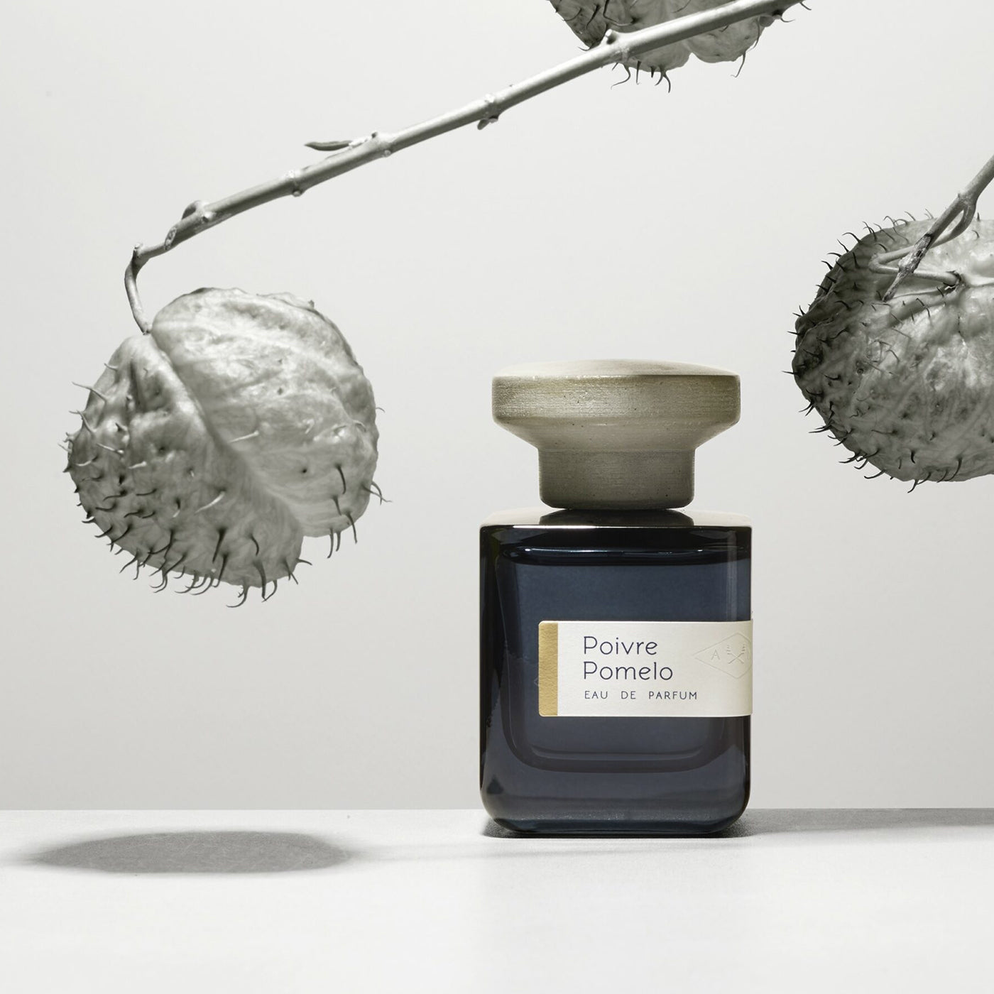 un parfum épicé et hespéridé de la maison française ATELIER MATERI, à retrouver dans la parfumerie de niche KAMS PARIS