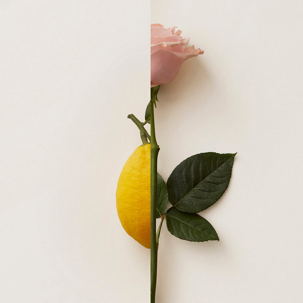 Rosa Limone