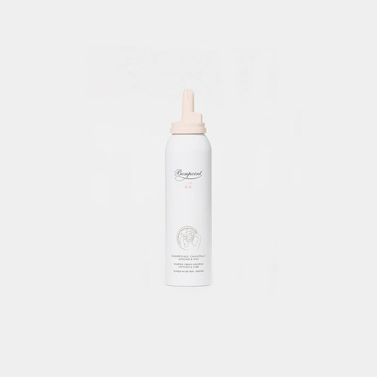 Shampoing Chantilly