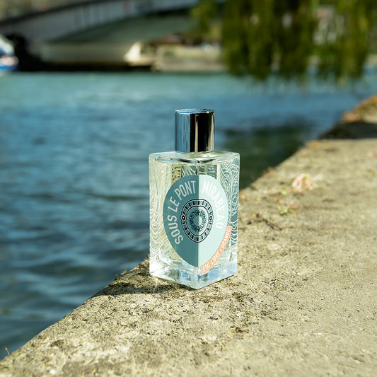 Under the Mirabeau Bridge