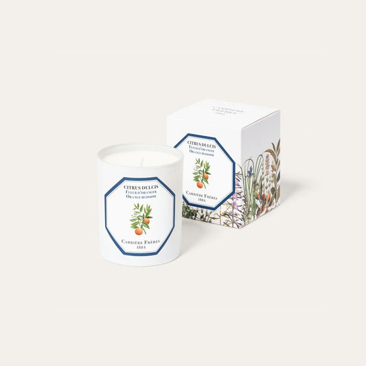 Bougie fleur d'oranger