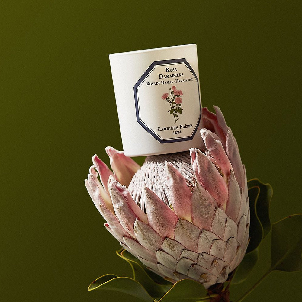 Bougie rose de Damas