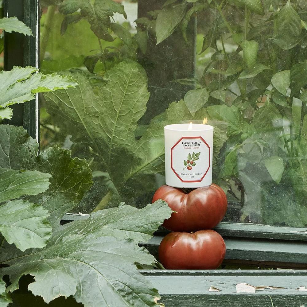 Bougie tomate