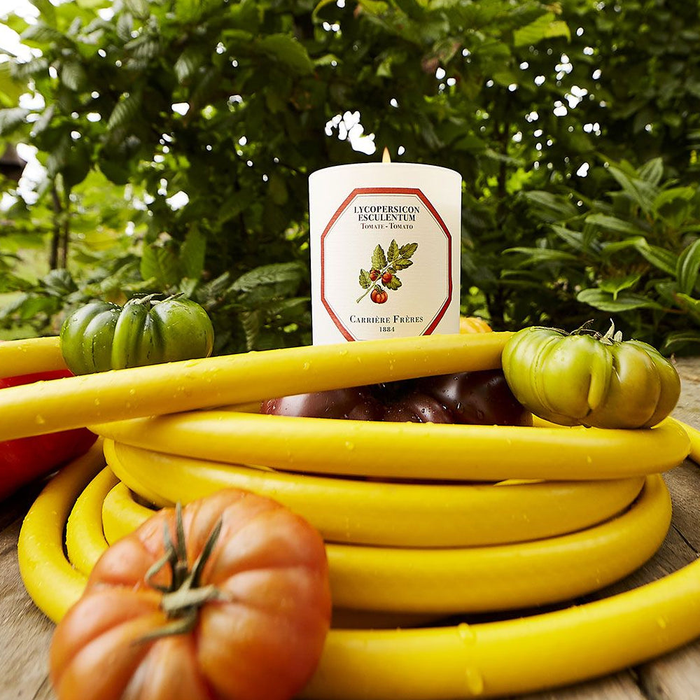 Bougie tomate