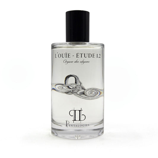 L’Ouïe – Etude 1.2